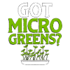 Got Microgreens Gardening Microgreen