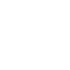 Party