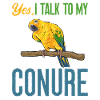 Parakeet Parrot Parakeet Bird
