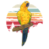 Perruche Perroquet Perruche Oiseau