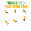Parakeet Parrot Parakeet Bird