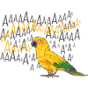 Perruche Perroquet Perruche Oiseau