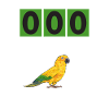 Parakeet Parrot Parakeet Bird