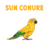 Parakeet Parrot Parakeet Bird