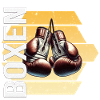 Boxen