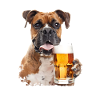 Yummy Beer Boxer