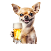 Yummy Beer Chihuhua