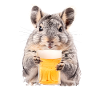 Delicious Beer Chinchilla