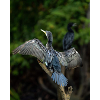 Stylish bird