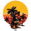 Sunset Paws