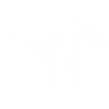 White Flying Dinosaur