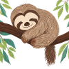 Cute Sloth
