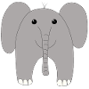 Baby elephant - front view