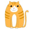 Ginger kitten