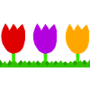 Three cute tulips