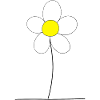 Cute daisy