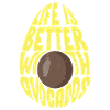 Avocado