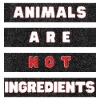 Animals Are Not Ingredients Grunge