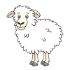 funny sheep