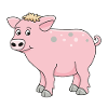 funny pig