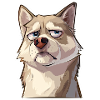 Grumpy the Husky