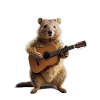 Marmot guitar