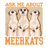 Suricate drôle suricate cadeau