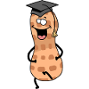 Peanut Pupil Scholar Student ABI