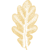 Eichenblatt - Khaki- Blatt/ Eiche/ Baum