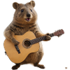 Marmot guitar
