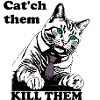 Catch them CAT
