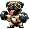 Mops-Workout: Hanteltraining mit Spaß