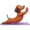 Funny Dachshund: Yoga, Gymnastics & Meditation