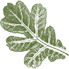Oak Leaf - Leaf/ Oak Khaki