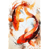 Koi