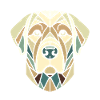 Cabeza de labrador, perro perdiguero, arte geométrico, polígono