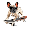Skateboarding French Bulldog