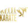 Evolution Karate