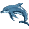 Dolphin