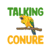 Parakeet Parrot Parakeet Bird