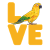 Parakeet Parrot Parakeet Bird