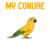 Parakeet Parrot Parakeet Bird