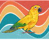 Parakeet Parrot Parakeet Bird