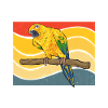 Parakeet Parrot Parakeet Bird