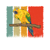 Parakeet Parrot Parakeet Bird
