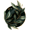 Plants Leaves
