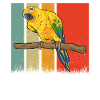 Parakeet Parrot Parakeet Bird