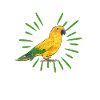 Parakeet Parrot Parakeet Bird