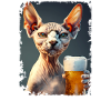 Yummy Beer Sphynx