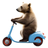 Bear Scooter